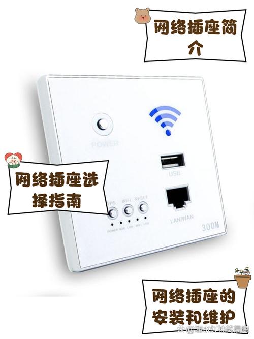 网络插座